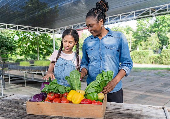 Happy black farmer mother and daughter on vegetable farm for agriculture, business growth and produce in boxes. African worker or supplier excited about harvest and gardening.